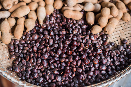 tamarind is a seed and fruitの写真素材