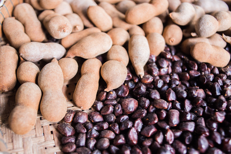 tamarind is a seed and fruitの写真素材