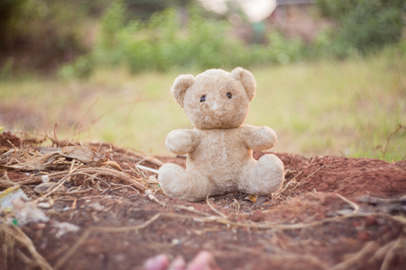 old doll bear on a landの写真素材