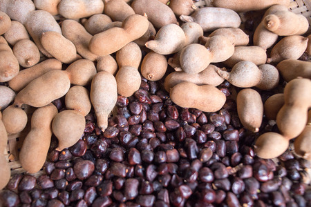 tamarind is a seed and fruitの写真素材
