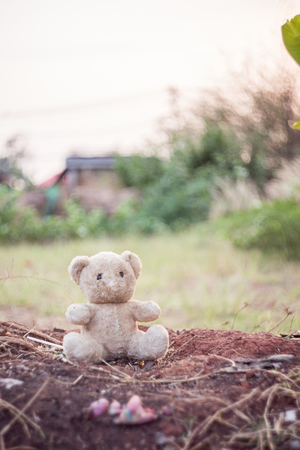 old doll bear on a landの写真素材