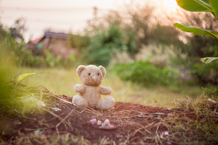 old doll bear on a landの写真素材
