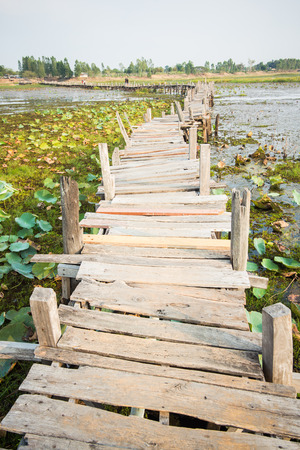 wood bridge cross a riverの写真素材
