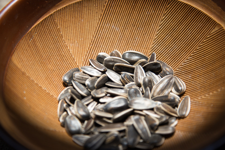 seed sunflower in bowlの写真素材