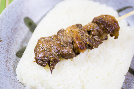 beef barbecue on dishの写真素材