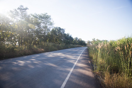 A road is a long piece of hard ground which is built between two places so that people can drive or ride easily from one place to the otherの写真素材