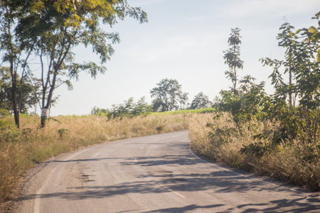 A road is a long piece of hard ground which is built between two places so that people can drive or ride easily from one place to the otherの写真素材