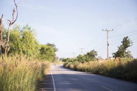 A road is a long piece of hard ground which is built between two places so that people can drive or ride easily from one place to the otherの写真素材