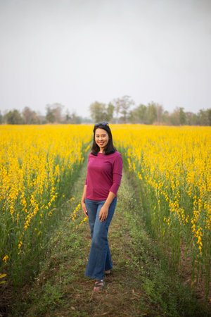 Young woman in a field of yellow flowersの写真素材