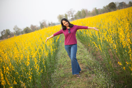 Young woman in a field of yellow flowersの写真素材