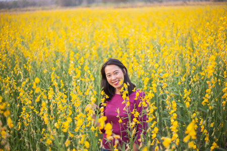 Young woman in a field of yellow flowersの写真素材