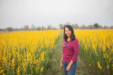 Young woman in a field of yellow flowersの写真素材