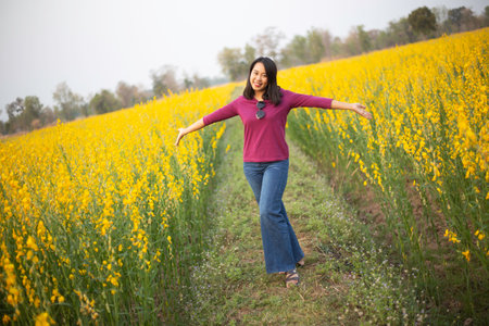 Young woman in a field of yellow flowersの写真素材