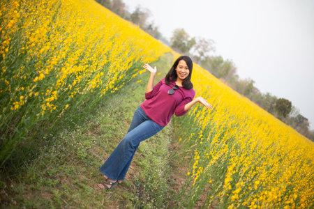 Young woman in a field of yellow flowersの写真素材