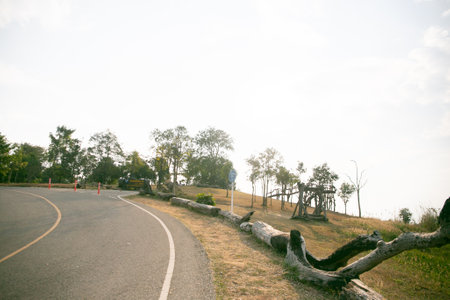 Beautiful Straight empty road through forestの写真素材