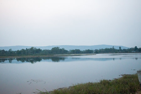 Fog in the river valleys is a common occurence across the region, but moreso during the late summer and fall months.の写真素材