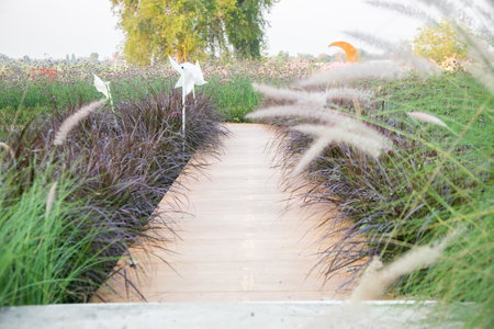 The Way of Flowers