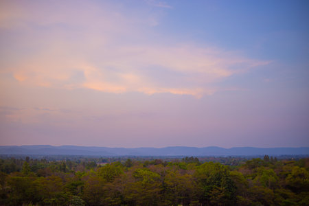 a large rock sitting in the middle of a forestの写真素材