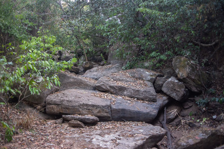 a large rock sitting in the middle of a forestの写真素材