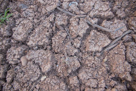 Surface conditions of the ground along the river at Ubolratana Damの写真素材