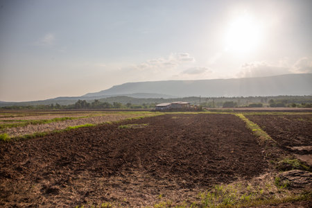 farm view at phuluang mountain thailandの写真素材