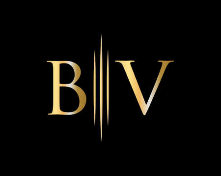 Initial  BV logo, BV monogram, Letter BV logo designのイラスト素材