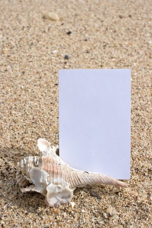 Name card on the beachの写真素材