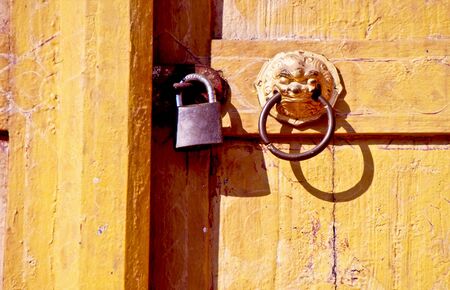 Door lock and lion door handleの写真素材