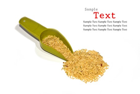 Rice and spoonの写真素材