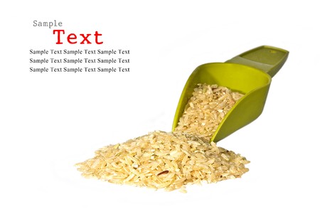 Rice and spoonの写真素材