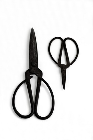 Old scissors の写真素材