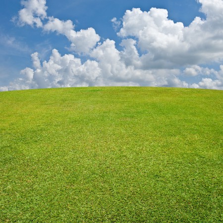 Green grass and blue skyの写真素材