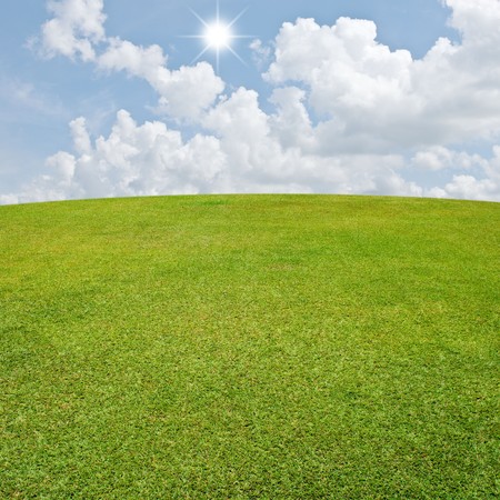 Green meadow and nice sky の写真素材