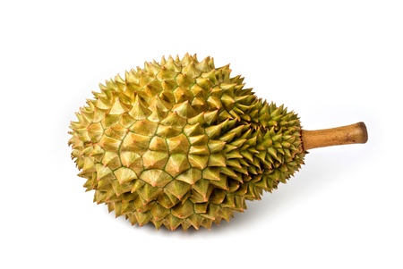 Durian on white backgroundの写真素材