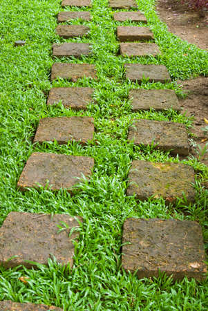 Laterite walk way with green grassの写真素材
