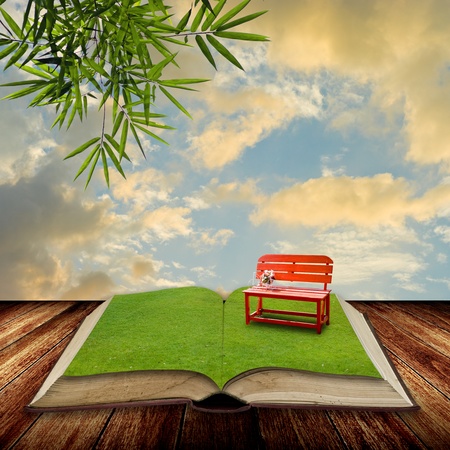 Open book to the park with sunset sky, Reading coceptの写真素材