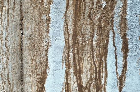 Stain on concrete wall backgroundの写真素材