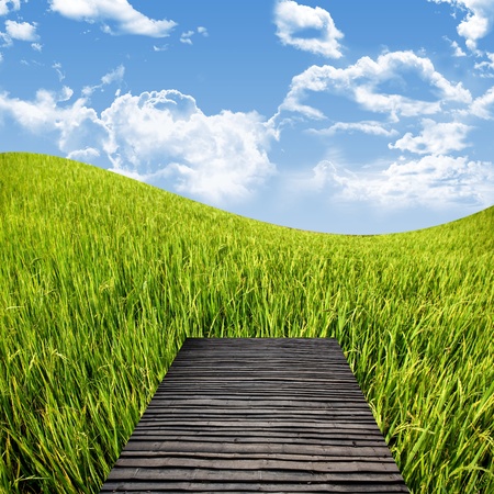 Terrace on the rice field with nice sky, Countryside travel conceptの写真素材