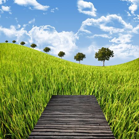 Terrace on the rice field, Countryside travel conceptの写真素材