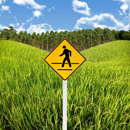 Crossroad sign with landscape background, Travel in countryside conceptの写真素材