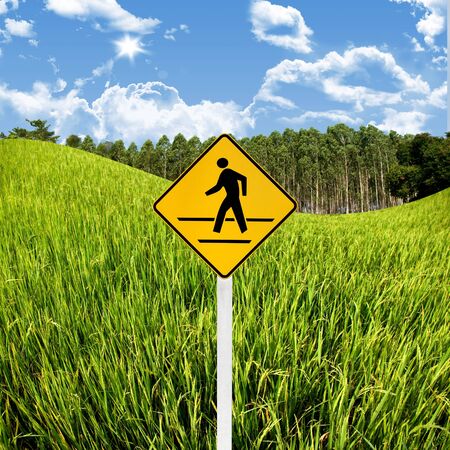 Crossroad sign with landscape background, Travel in countryside conceptの写真素材