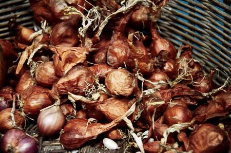 Shallots and garlic in basketの写真素材