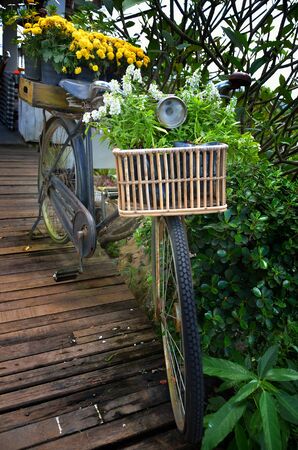 Vintage bicycle with flower decorationsの写真素材
