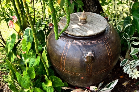 Retro jar under tree in gardenの写真素材