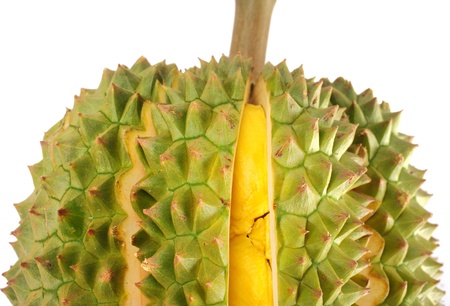 Durian isolated on white backgroundの写真素材