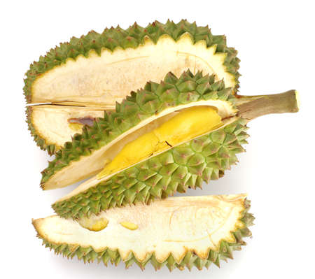 Fresh Durian isolated on white backgroundの写真素材