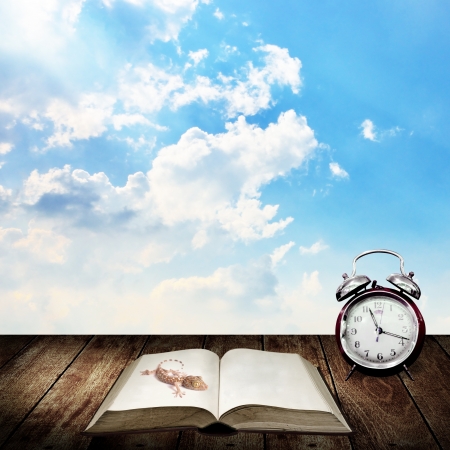Alarm clock with gecko, Wake up for read conceptの写真素材