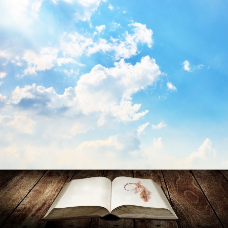 Gecko on the book, Wake up for reading conceptの写真素材