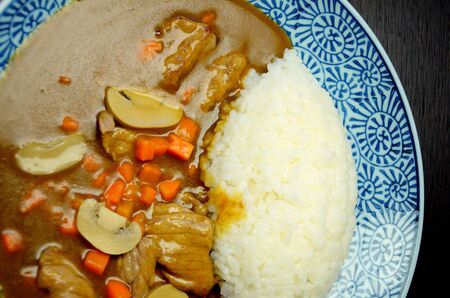 Rice with pork curry in Japanese styleの写真素材