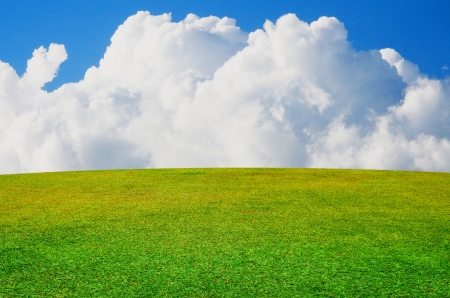 Grass field with nice sky backgroundの写真素材